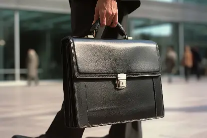 Leather Bag-Leather Products - shreehanumantexport